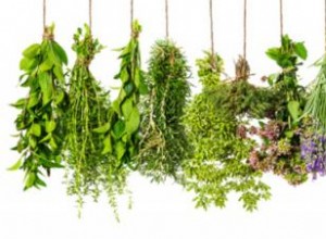 Guía Completa para Ramos de Hierbas: Bouquet Garni, Decoración y Precauciones