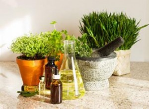 Hierbas Ayurvédicas por Doshas: Guía Completa para Equilibrar Vata, Pitta y Kapha