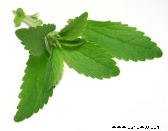Efectos secundarios de la stevia