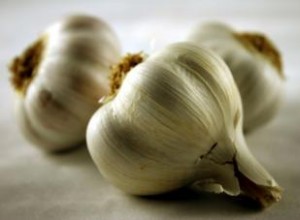 Protocolos Ayurvédicos Efectivos contra el Sobrecrecimiento de Candida