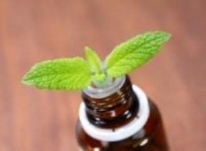 Efectos Secundarios de la Alholva (Fenogreco): Riesgos, Precauciones y Beneficios