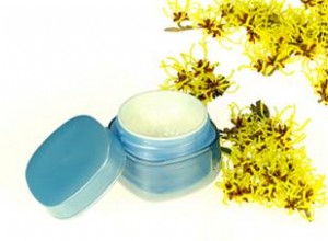 Remedios Herbales Efectivos para Aliviar las Hemorroides: Guía Basada en Evidencia