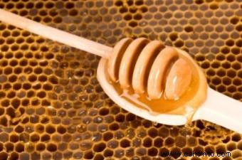 Miel para cortes y quemaduras