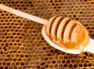 Miel para cortes y quemaduras: Evidencia científica y uso práctico