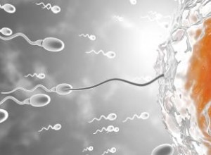 ¿Es posible quedar embarazada después de la ovulación? Guía experta