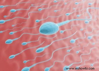 FIV:procedimiento de fecundación in vitro, riesgos y ética