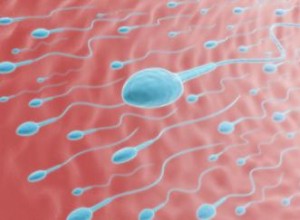 Fecundación In Vitro (FIV): Procedimiento, Riesgos y Consideraciones Éticas