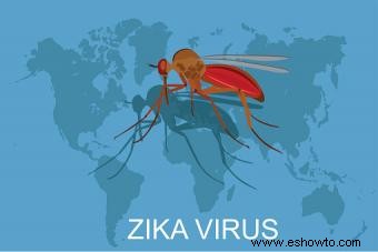 Datos cruciales sobre el virus Zika y el embarazo