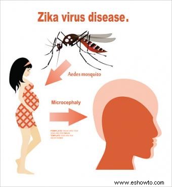 Datos cruciales sobre el virus Zika y el embarazo