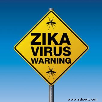 Datos cruciales sobre el virus Zika y el embarazo
