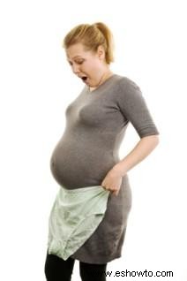 Etapas del desarrollo del embarazo