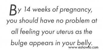 Cómo sentir el útero al principio del embarazo