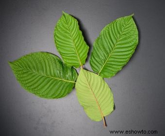 Adicción al kratom