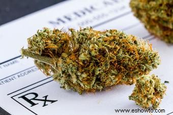 ¿Cuáles son los usos médicos de la marihuana? 