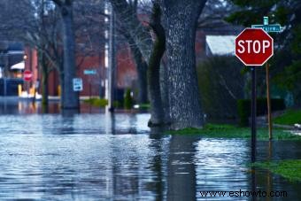 Seguridad ante inundaciones repentinas