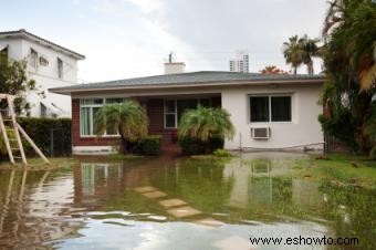 Precauciones de salud y seguridad para la recuperación de inundaciones