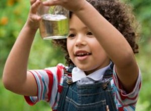 Métodos Efectivos para Purificar Agua en Emergencias: Guía Según CDC y OMS
