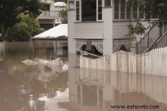 ¿Cuáles son las cinco reglas de seguridad que debe practicar durante una inundación?