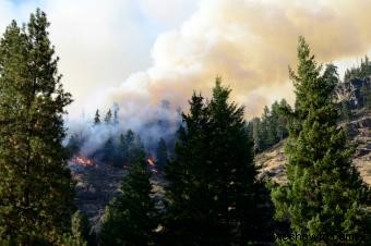 Consejos de seguridad contra incendios en el verano