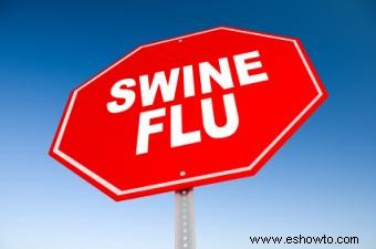 Precauciones contra la gripe porcina
