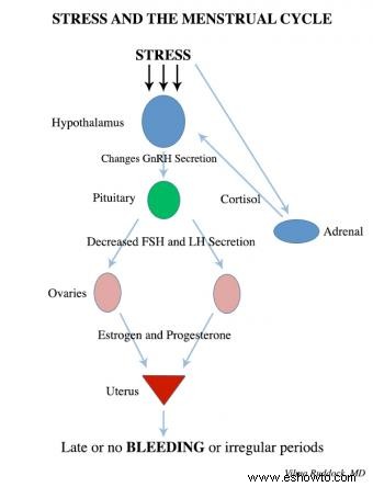 ¿Puede el estrés hacer que su ciclo menstrual se retrase?