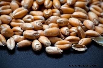 Guía de bayas de trigo rojo duro y cómo usarlas