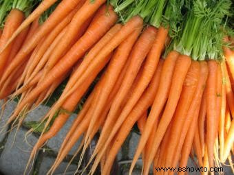 6 beneficios del jugo de zanahoria y consejos para hacer su propio jugo
