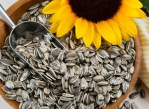 ¿Se pueden comer demasiadas semillas de girasol? 6 riesgos para la salud