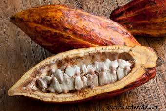 Efectos secundarios y beneficios del cacao crudo