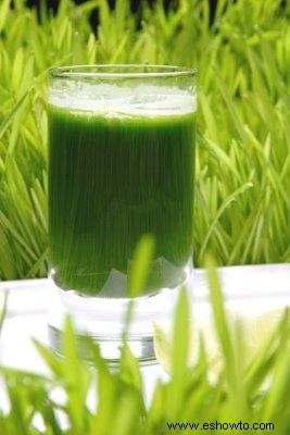 Bebidas saludables verdes versus comer verduras:¿cuál es mejor para usted?