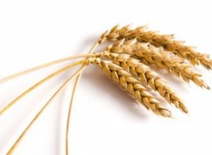 Beneficios del germen de trigo para la salud: nutrientes, usos y consejos prácticos