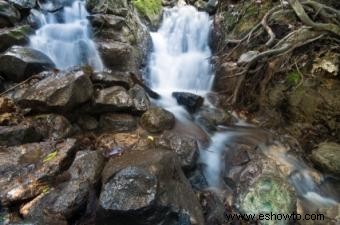 ¿Qué son los minerales coloidales líquidos?