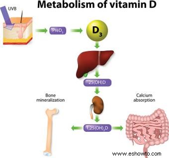 ¿Demasiada vitamina D puede causar dolor de huesos?