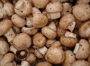 Beneficios del Ácido Pantoténico (Vitamina B5): Energía, Estrés y Salud Cutánea