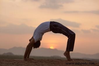 Richard Freeman Yoga:un enfoque más profundo de los movimientos