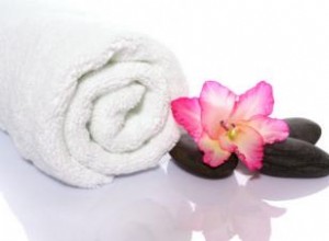 The Raj Maharishi Ayurvedic Health Spa: El oasis de bienestar ayurvédico en Iowa