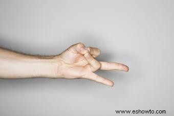 Rudra Mudra