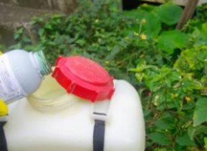 Los Mejores Herbicidas para Eliminar Malas Hierbas sin Dañar tu Césped