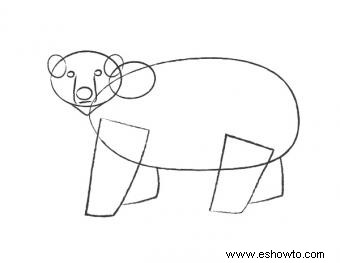 Cómo dibujar un oso polar