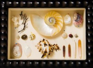 Guía paso a paso para crear una caja de sombras con tus recuerdos más preciados