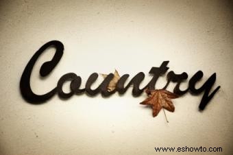 Historia de la Danza Country 