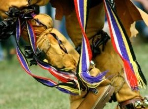 Danzas Tradicionales Iroquesas: Historia, Canciones de la Tierra y Leyendas Culturales
