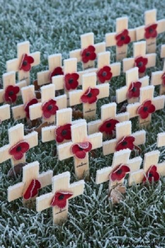 Cómo celebran los franceses el Día del Armisticio