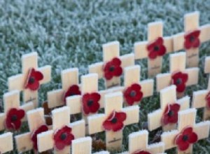 Cómo celebran los franceses el Día del Armisticio