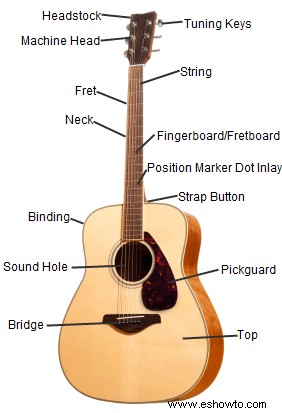 Diagrama de una guitarra acústica