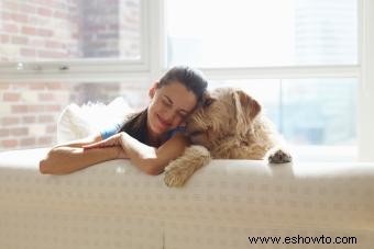 Horóscopos para perros:la personalidad de tu cachorro, según las estrellas