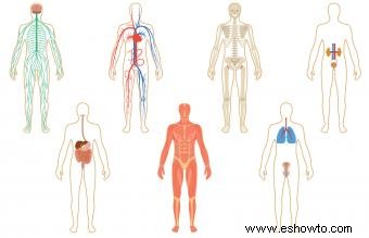 Cómo se relaciona la astrología médica con la salud y el cuerpo