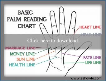 Gráfico manual de lectura de la palma de la mano