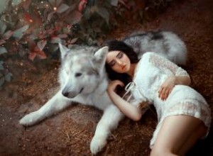 Descubre tu Animal Espíritu según tu Fecha de Nacimiento: Guía de Zodíaco Occidental, Celta y Chino