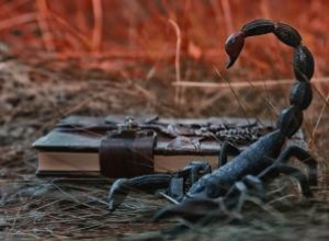 Símbolos Animales de Escorpio: Escorpión, Serpiente, Águila y Fénix en el Zodiaco